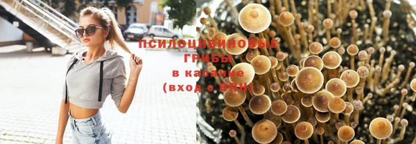 мет Лагань