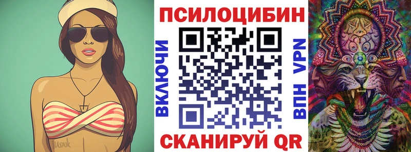 Купить закладки  Белокуриха  Галлюциногенные грибы Cubensis 